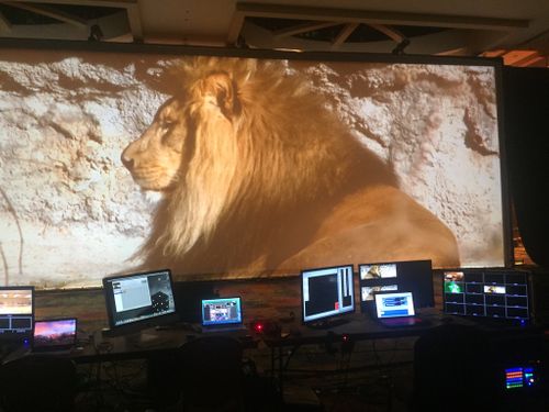 Lion on a 10x30 wide screen driven by a christie spyder x20